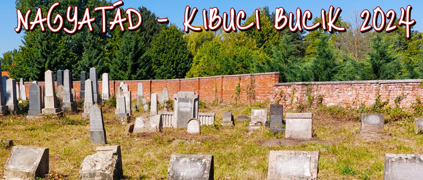 A 21. Kibuci Buci tábor lakói rendbetették a nagyatádi zsidó temetőt